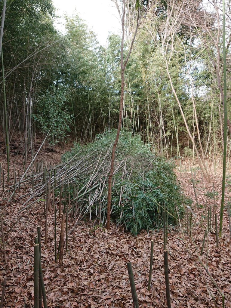 宇津貫緑地の竹林整備